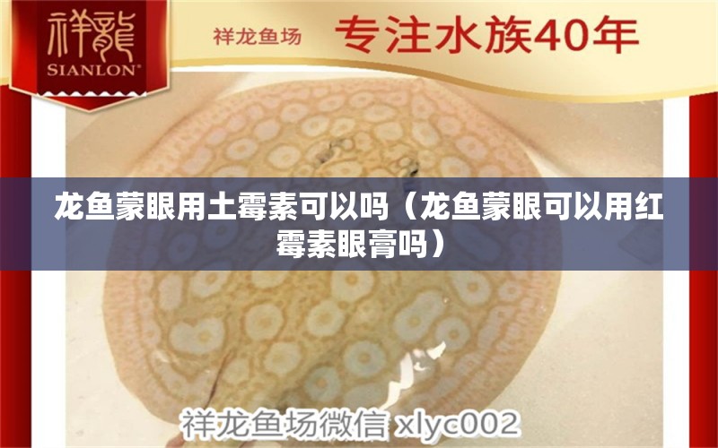 龙鱼蒙眼用土霉素可以吗（龙鱼蒙眼可以用红霉素眼膏吗）