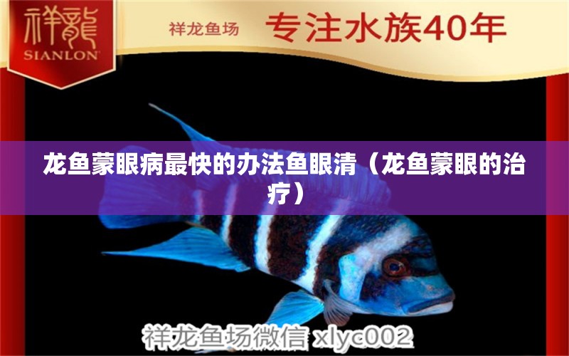 龙鱼蒙眼病最快的办法鱼眼清（龙鱼蒙眼的治疗） 广州龙鱼批发市场
