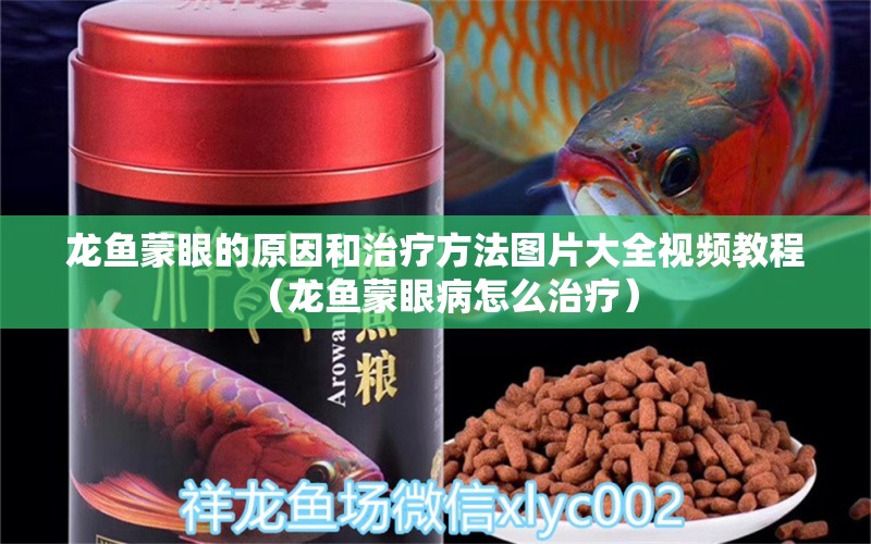 龙鱼蒙眼的原因和治疗方法图片大全视频教程（龙鱼蒙眼病怎么治疗） 观赏鱼