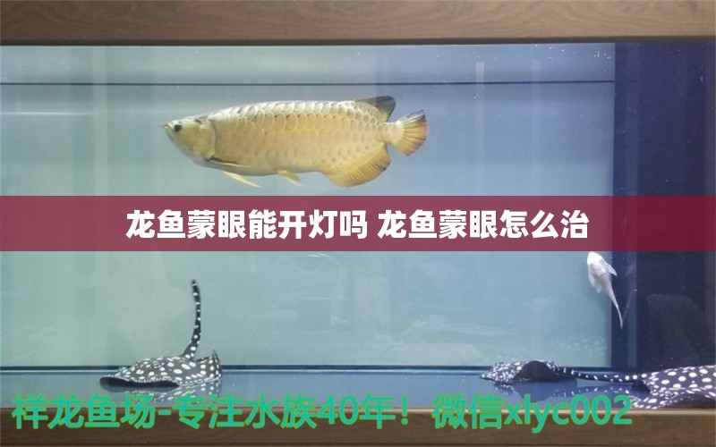 龙鱼蒙眼能开灯吗 龙鱼蒙眼怎么治