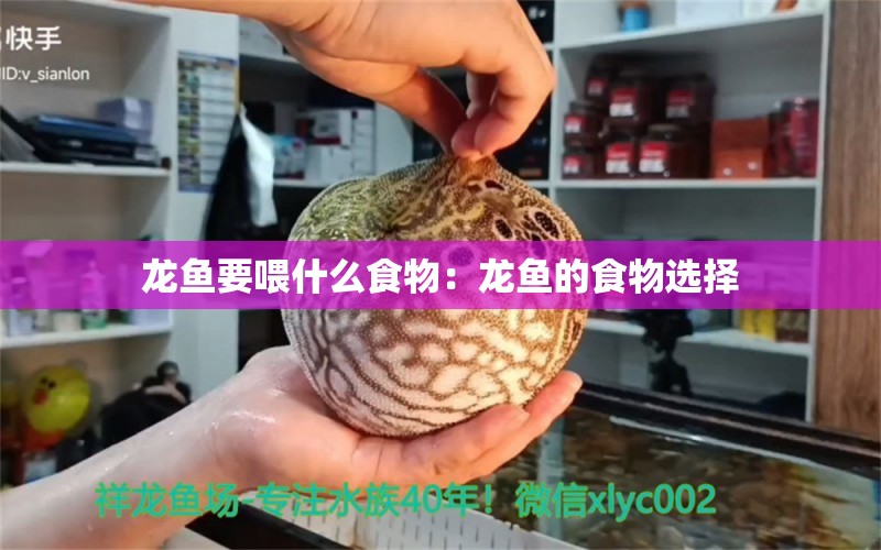 龙鱼要喂什么食物：龙鱼的食物选择 龙鱼百科 第2张