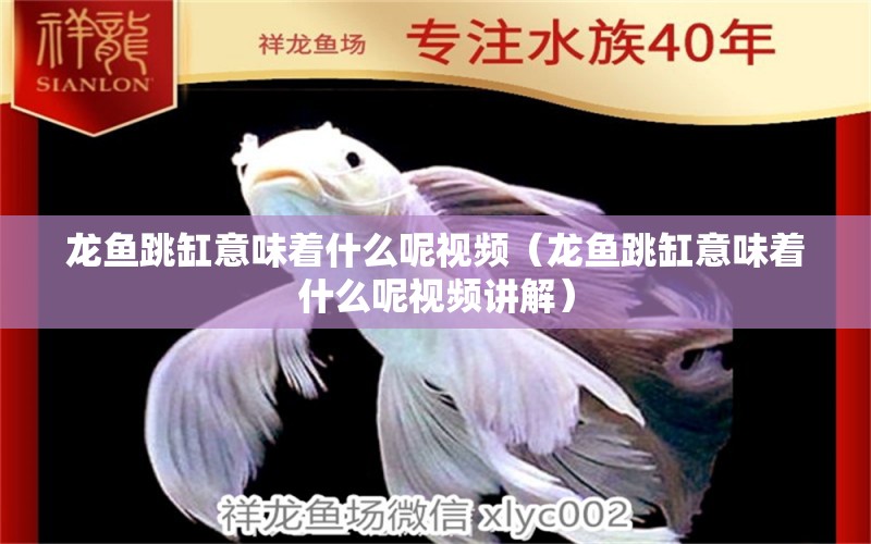 龙鱼跳缸意味着什么呢视频（龙鱼跳缸意味着什么呢视频讲解） 广州龙鱼批发市场