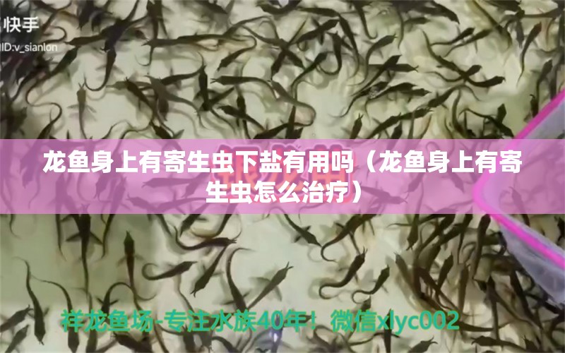 龙鱼身上有寄生虫下盐有用吗（龙鱼身上有寄生虫怎么治疗） 龙鱼疾病与治疗