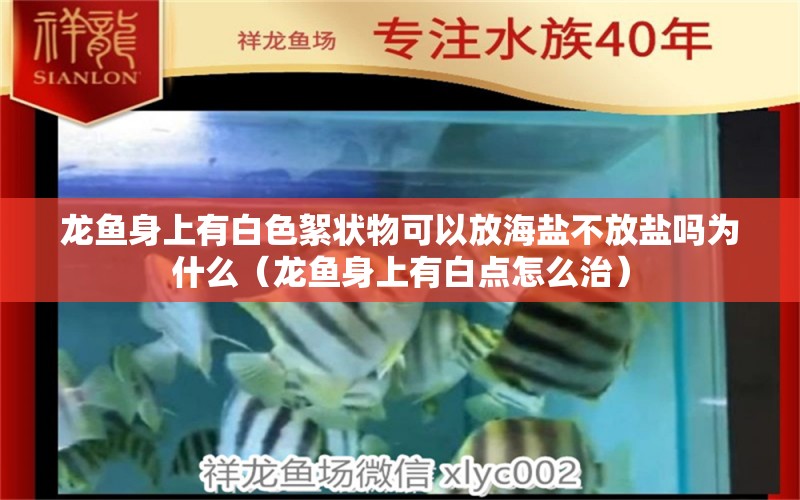 龙鱼身上有白色絮状物可以放海盐不放盐吗为什么（龙鱼身上有白点怎么治）