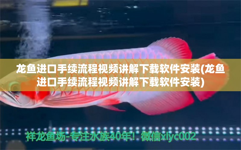 龙鱼进口手续流程视频讲解下载软件安装(龙鱼进口手续流程视频讲解下载软件安装)