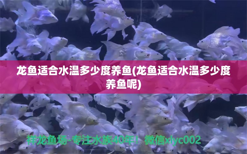 龙鱼适合水温多少度养鱼(龙鱼适合水温多少度养鱼呢)