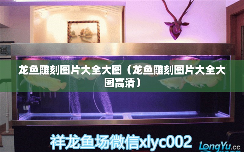 龙鱼雕刻图片大全大图（龙鱼雕刻图片大全大图高清） 祥龙水族医院