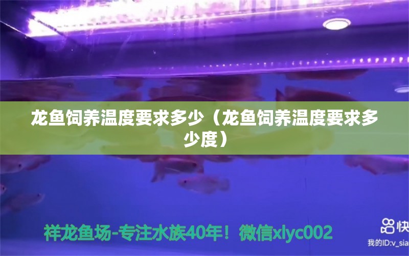 龙鱼饲养温度要求多少（龙鱼饲养温度要求多少度） 广州龙鱼批发市场