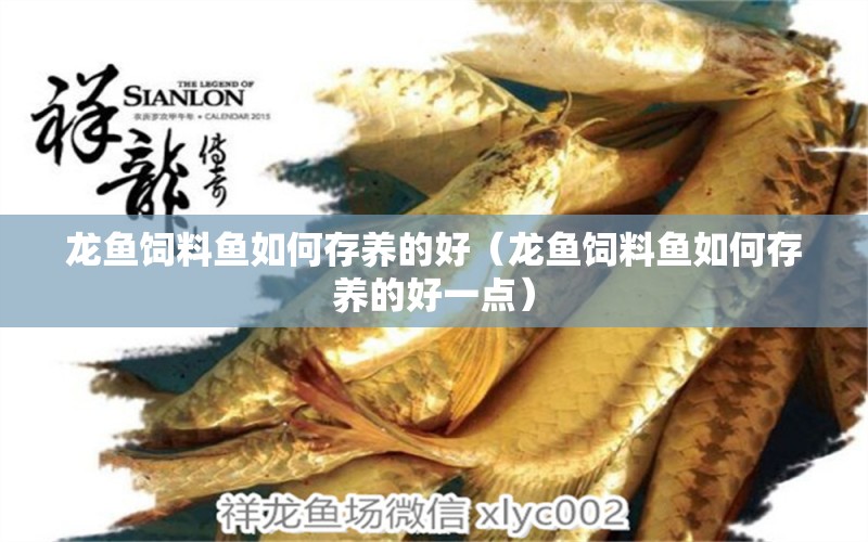 龙鱼饲料鱼如何存养的好（龙鱼饲料鱼如何存养的好一点） 广州龙鱼批发市场