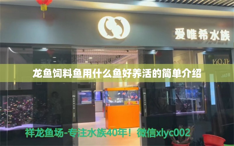 龙鱼饲料鱼用什么鱼好养活的简单介绍 观赏鱼饲料 第1张