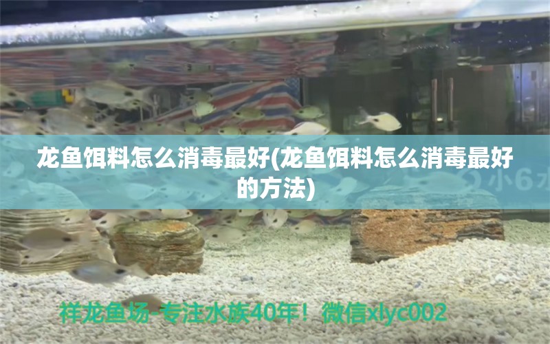 龙鱼饵料怎么消毒最好(龙鱼饵料怎么消毒最好的方法) 黑白双星鱼