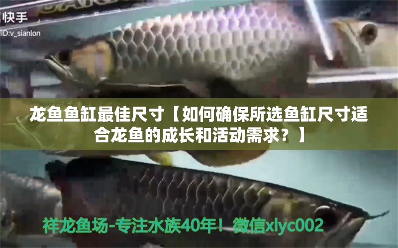 龙鱼鱼缸最佳尺寸【如何确保所选鱼缸尺寸适合龙鱼的成长和活动需求？】 水族问答 第1张