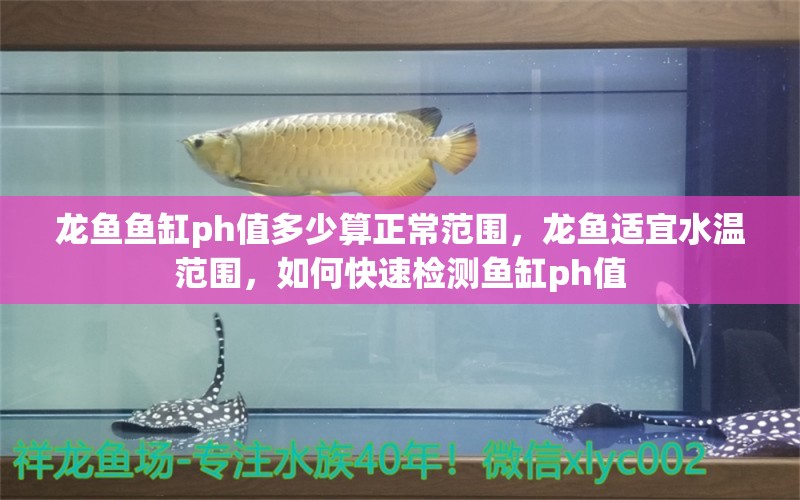 龙鱼鱼缸ph值多少算正常范围，龙鱼适宜水温范围，如何快速检测鱼缸ph值 鱼缸百科 第2张