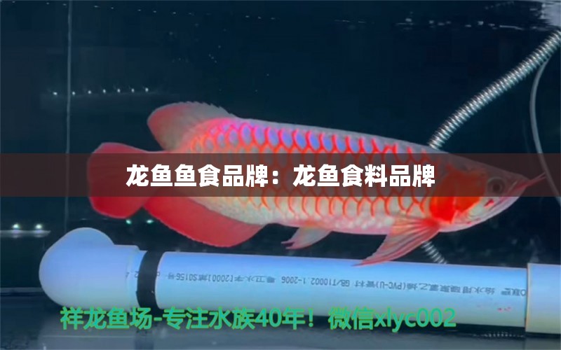 龙鱼鱼食品牌：龙鱼食料品牌 水族维护服务（上门）