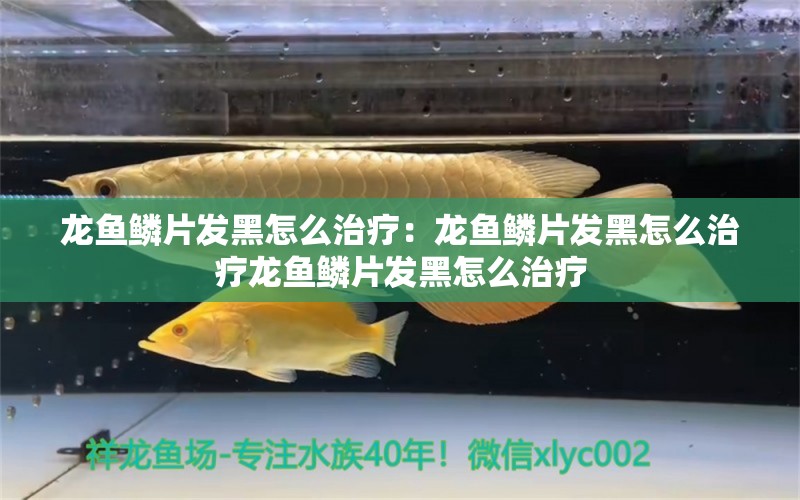 龙鱼鳞片发黑怎么治疗：龙鱼鳞片发黑怎么治疗龙鱼鳞片发黑怎么治疗