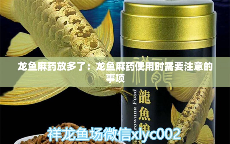 龙鱼麻药放多了：龙鱼麻药使用时需要注意的事项