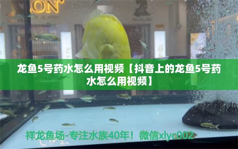 龙鱼5号药水怎么用视频【抖音上的龙鱼5号药水怎么用视频】