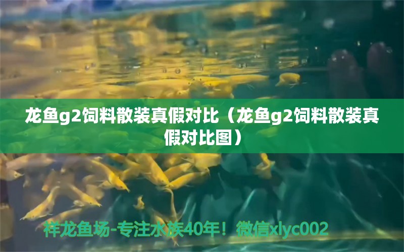 龙鱼g2饲料散装真假对比（龙鱼g2饲料散装真假对比图） 龙鱼疾病与治疗