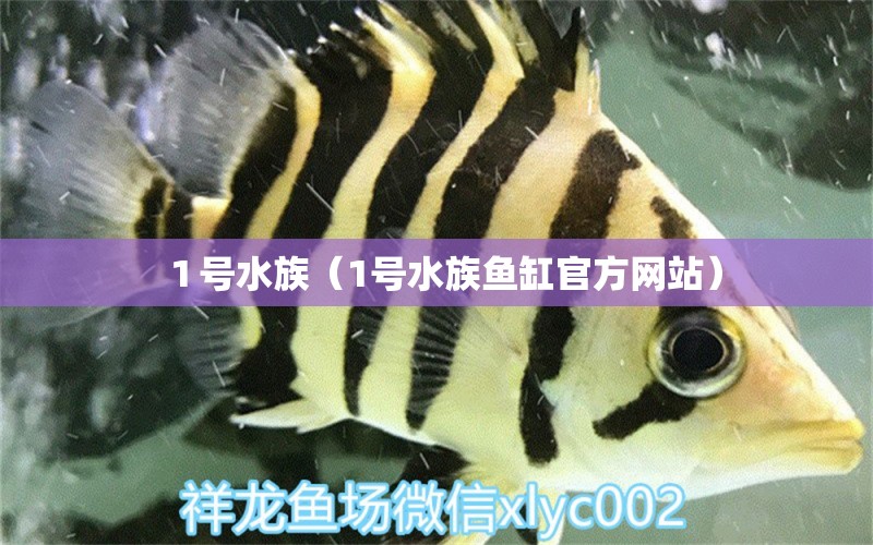 １号水族（1号水族鱼缸官方网站） 全国水族馆企业名录