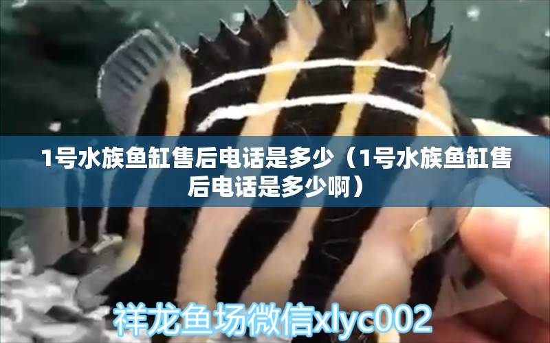 1号水族鱼缸售后电话是多少（1号水族鱼缸售后电话是多少啊）