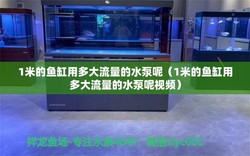 1米的鱼缸用多大流量的水泵呢（1米的鱼缸用多大流量的水泵呢视频） 鱼缸百科