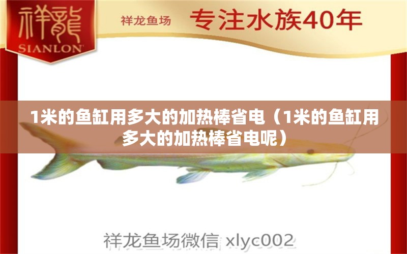 1米的鱼缸用多大的加热棒省电（1米的鱼缸用多大的加热棒省电呢）