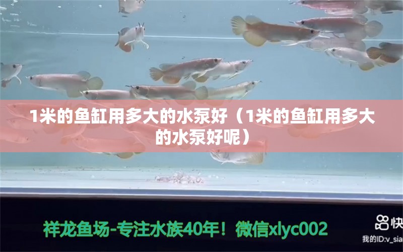 1米的鱼缸用多大的水泵好（1米的鱼缸用多大的水泵好呢）