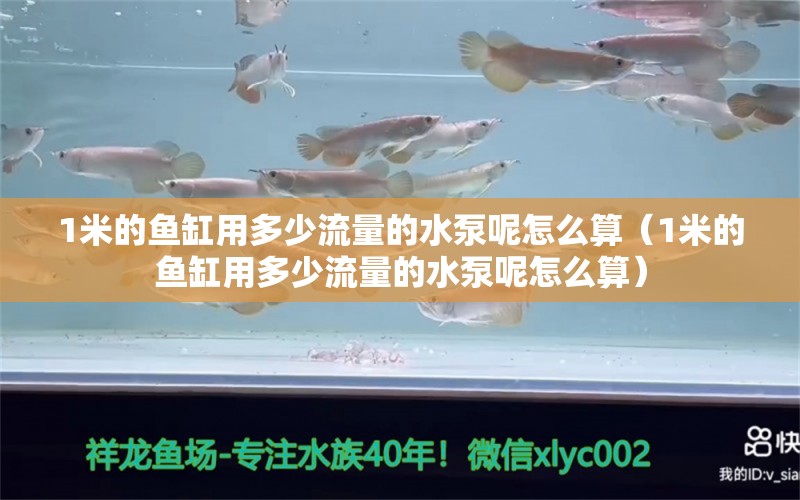 1米的鱼缸用多少流量的水泵呢怎么算（1米的鱼缸用多少流量的水泵呢怎么算）