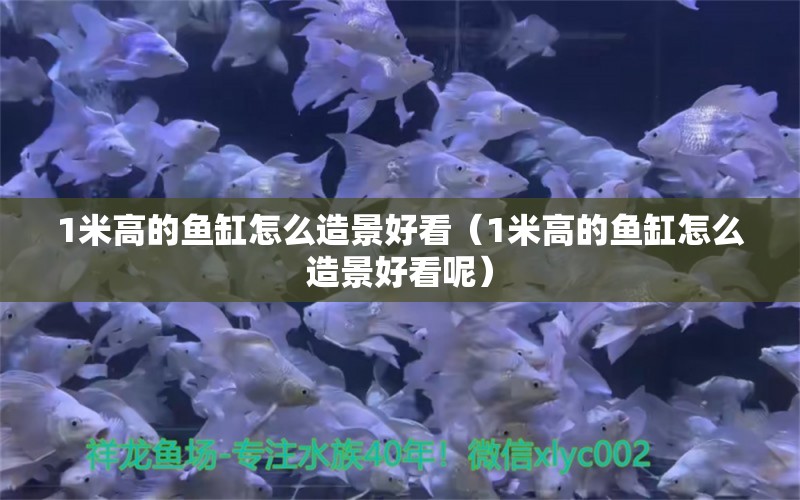 1米高的鱼缸怎么造景好看（1米高的鱼缸怎么造景好看呢）