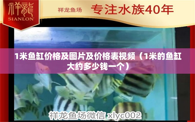 1米鱼缸价格及图片及价格表视频（1米的鱼缸大约多少钱一个）