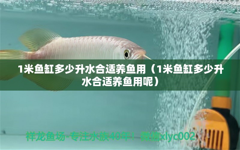 1米鱼缸多少升水合适养鱼用（1米鱼缸多少升水合适养鱼用呢） 鱼缸