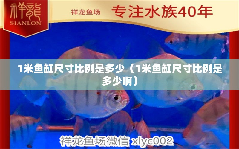 1米鱼缸尺寸比例是多少（1米鱼缸尺寸比例是多少啊） 其他品牌鱼缸