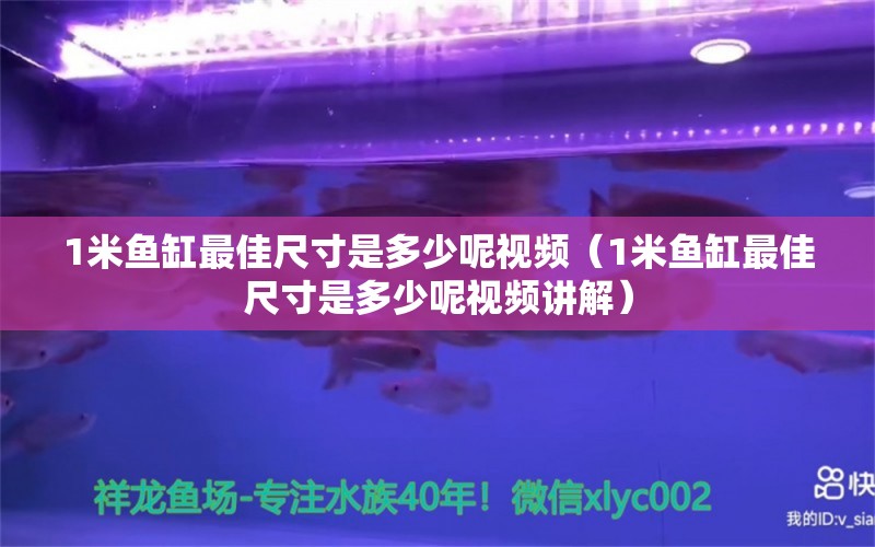 1米鱼缸最佳尺寸是多少呢视频（1米鱼缸最佳尺寸是多少呢视频讲解）