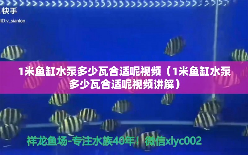 1米鱼缸水泵多少瓦合适呢视频（1米鱼缸水泵多少瓦合适呢视频讲解） 鱼缸水泵