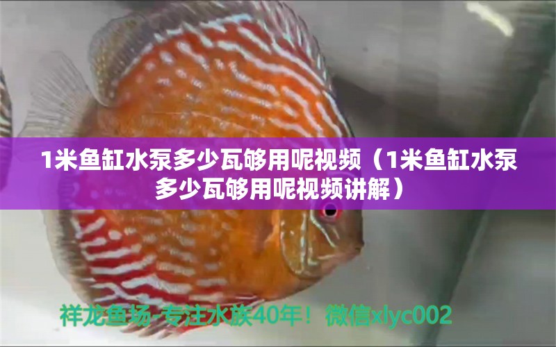 1米鱼缸水泵多少瓦够用呢视频（1米鱼缸水泵多少瓦够用呢视频讲解） 鱼缸水泵