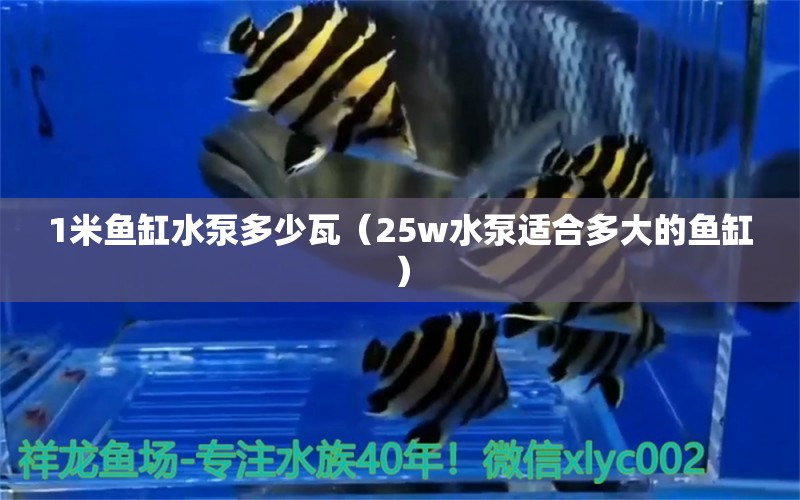 1米鱼缸水泵多少瓦（25w水泵适合多大的鱼缸）