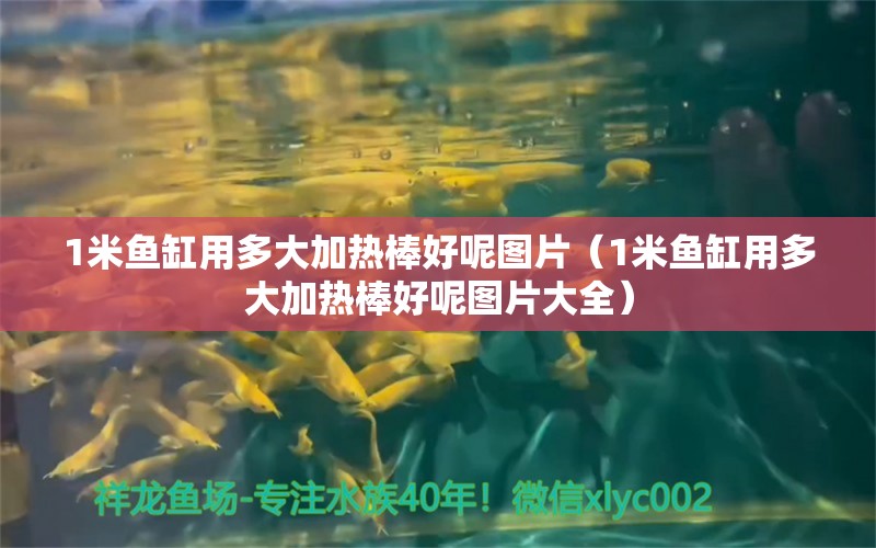 1米鱼缸用多大加热棒好呢图片（1米鱼缸用多大加热棒好呢图片大全）