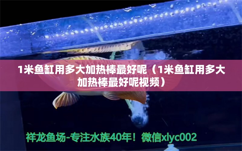 1米鱼缸用多大加热棒最好呢（1米鱼缸用多大加热棒最好呢视频） 鱼缸百科