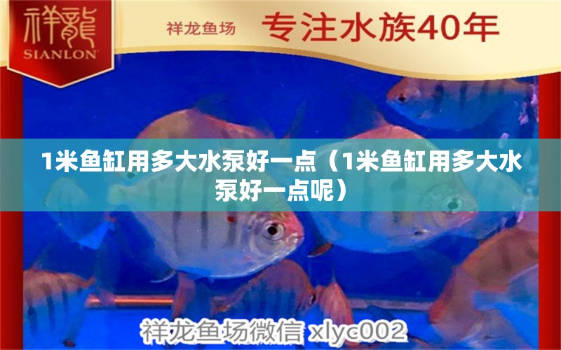 1米鱼缸用多大水泵好一点（1米鱼缸用多大水泵好一点呢） 鱼缸百科