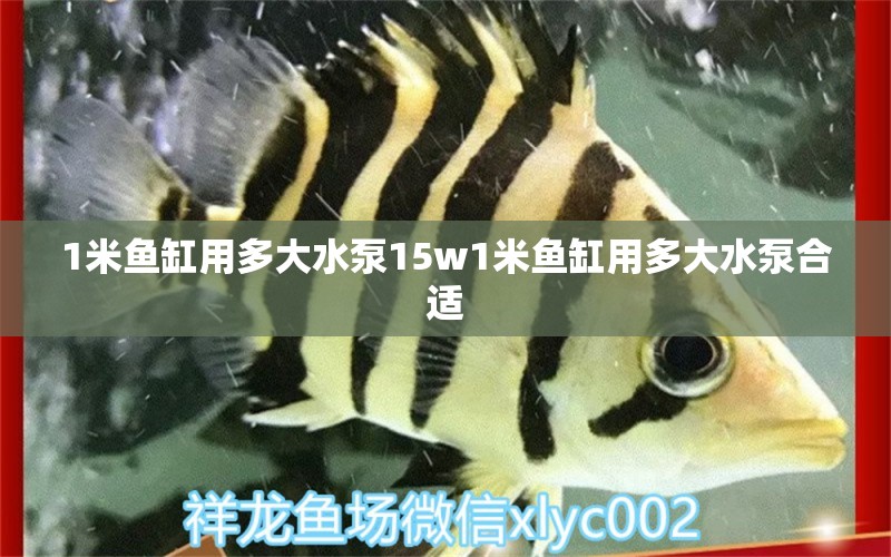 1米鱼缸用多大水泵15w1米鱼缸用多大水泵合适