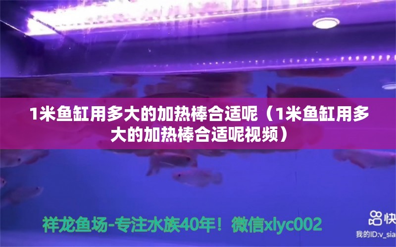 1米鱼缸用多大的加热棒合适呢（1米鱼缸用多大的加热棒合适呢视频） 鱼缸