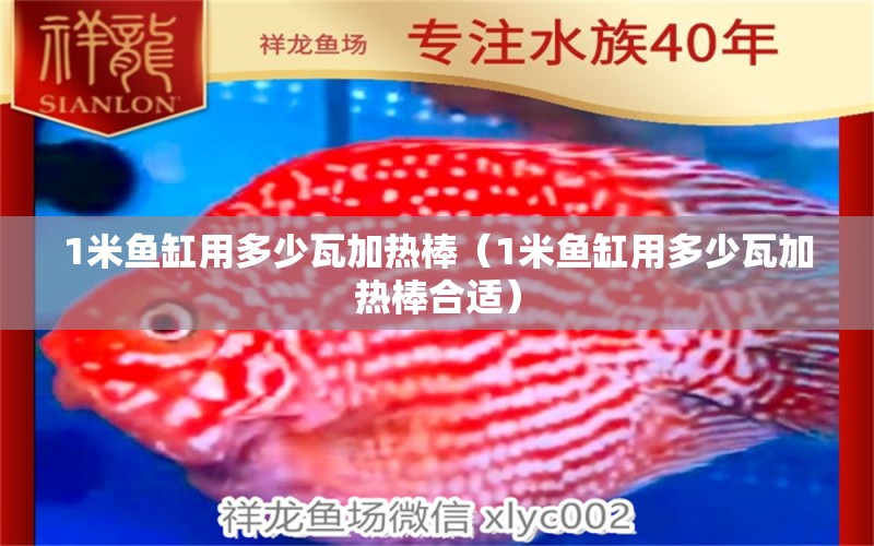 1米鱼缸用多少瓦加热棒（1米鱼缸用多少瓦加热棒合适） 鱼缸百科