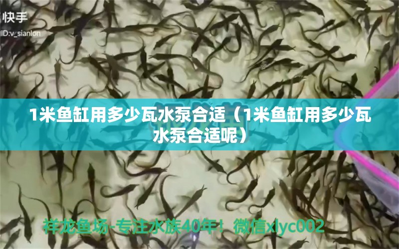 1米鱼缸用多少瓦水泵合适（1米鱼缸用多少瓦水泵合适呢） 鱼缸