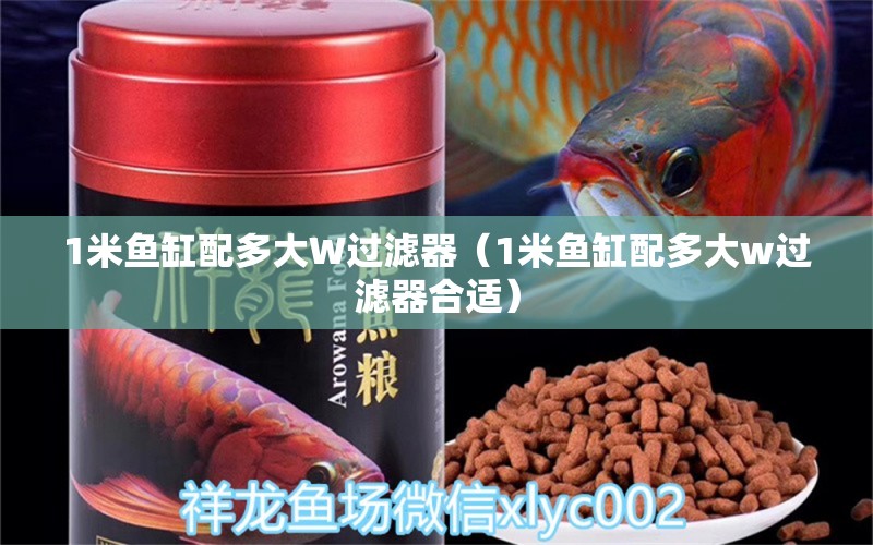 1米鱼缸配多大W过滤器（1米鱼缸配多大w过滤器合适）