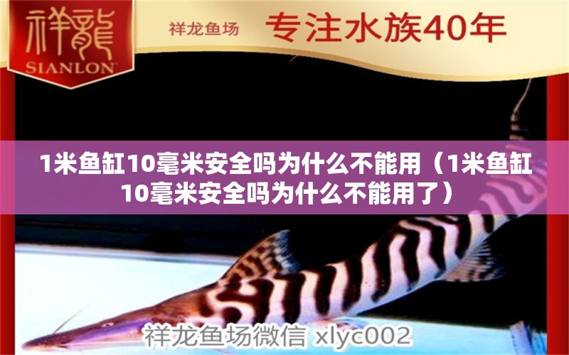 1米鱼缸10毫米安全吗为什么不能用（1米鱼缸10毫米安全吗为什么不能用了）