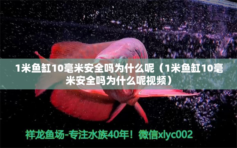 1米鱼缸10毫米安全吗为什么呢（1米鱼缸10毫米安全吗为什么呢视频） 鱼缸