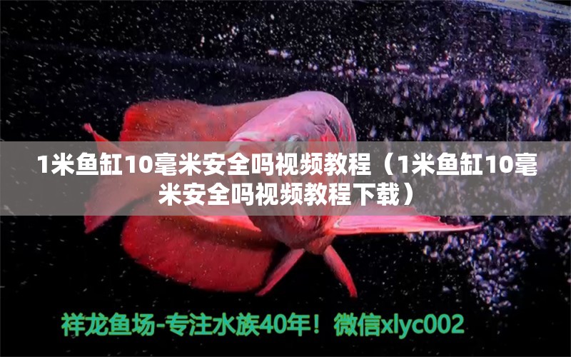 1米鱼缸10毫米安全吗视频教程（1米鱼缸10毫米安全吗视频教程下载）