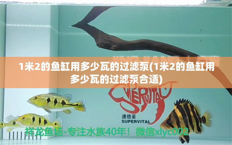 1米2的鱼缸用多少瓦的过滤泵(1米2的鱼缸用多少瓦的过滤泵合适)