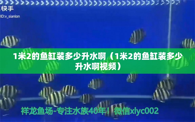 1米2的鱼缸装多少升水啊（1米2的鱼缸装多少升水啊视频） 鱼缸百科