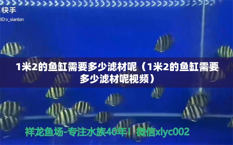 1米2的鱼缸需要多少滤材呢（1米2的鱼缸需要多少滤材呢视频） 其他品牌鱼缸